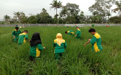 Mengenal Kompetensi Keahlian di SMK PP Negeri Padang : 1. Agribisnis Tanaman Pangan dan Hortikultura (ATPH)